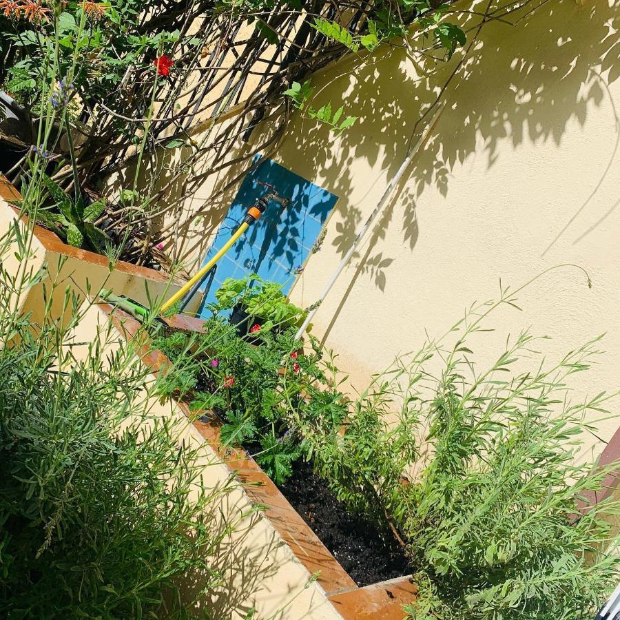 La Finestra Nel Giardino Hotel Naples Exterior photo